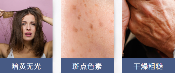 f46cd392d51b9bbe7e651fa8b11769b1.png