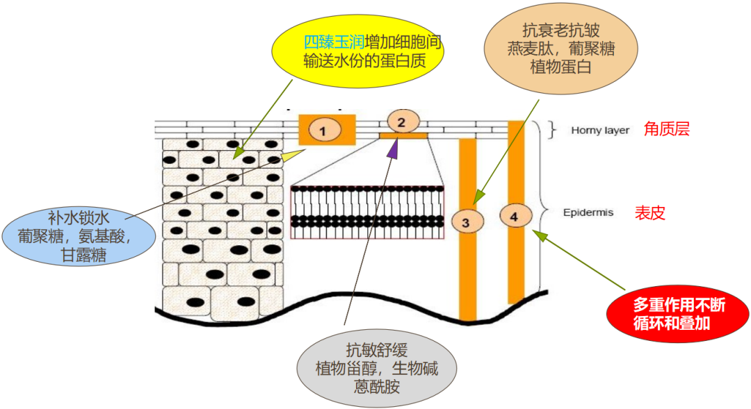 d2a09c00fc9bacfa913b33ec563a13f5.png
